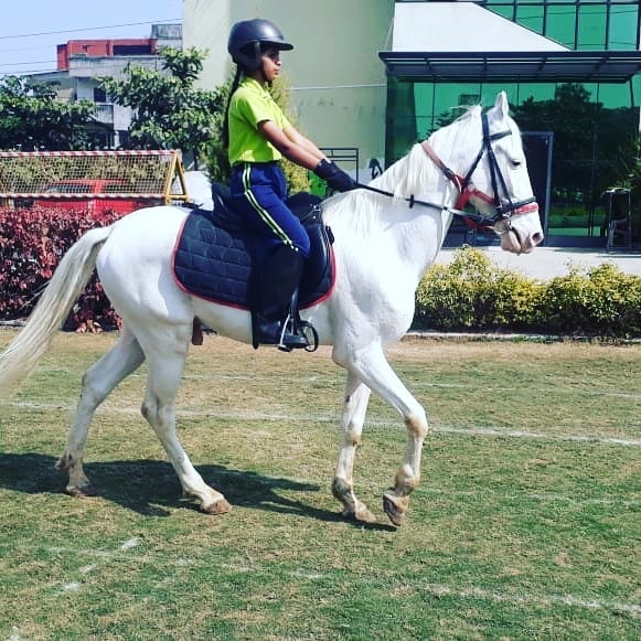 Rudra Best CBSE school in Nashik HORSE RIDING